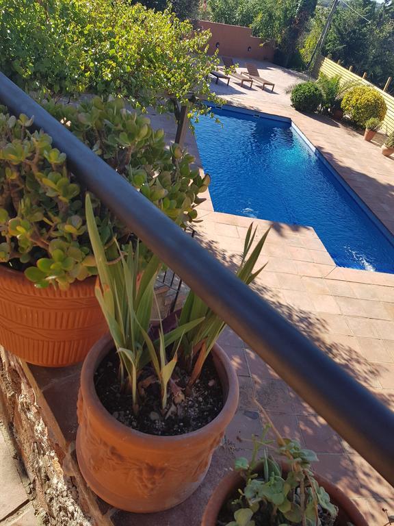 Mas Tomas Guest House Vall-Llobrega Ngoại thất bức ảnh